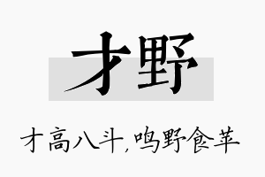 才野名字的寓意及含义