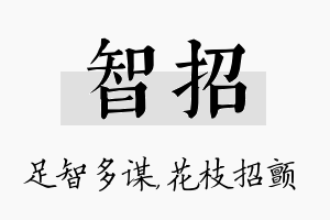 智招名字的寓意及含义