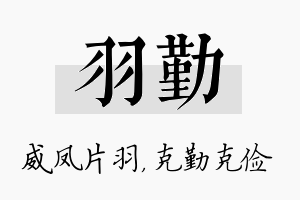 羽勤名字的寓意及含义