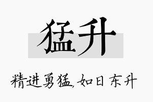 猛升名字的寓意及含义