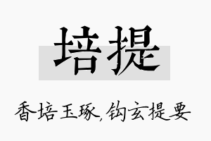 培提名字的寓意及含义