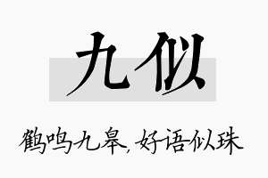 九似名字的寓意及含义