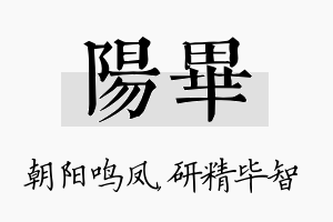 阳毕名字的寓意及含义