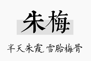 朱梅名字的寓意及含义