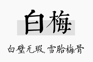 白梅名字的寓意及含义