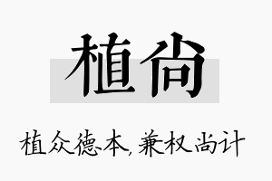 植尚名字的寓意及含义