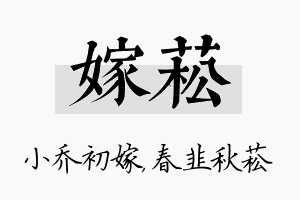 嫁菘名字的寓意及含义