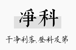 净科名字的寓意及含义