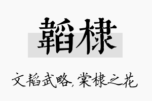 韬棣名字的寓意及含义