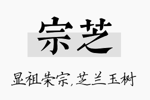 宗芝名字的寓意及含义