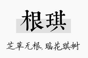 根琪名字的寓意及含义