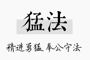 猛法名字的寓意及含义