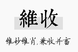 维收名字的寓意及含义