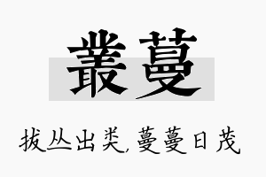 丛蔓名字的寓意及含义