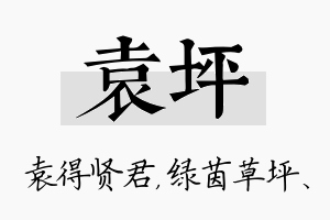 袁坪名字的寓意及含义