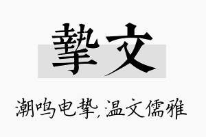 挚文名字的寓意及含义