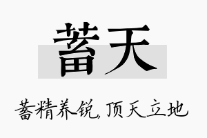 蓄天名字的寓意及含义