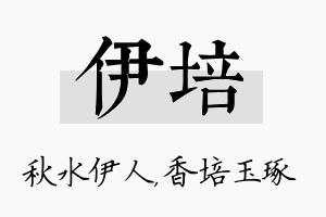 伊培名字的寓意及含义