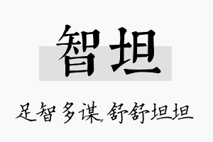 智坦名字的寓意及含义