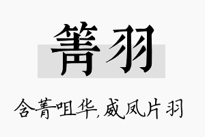 箐羽名字的寓意及含义