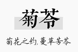 菊苓名字的寓意及含义