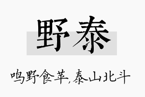 野泰名字的寓意及含义