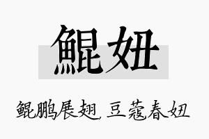 鲲妞名字的寓意及含义