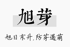 旭芽名字的寓意及含义