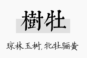 树牡名字的寓意及含义