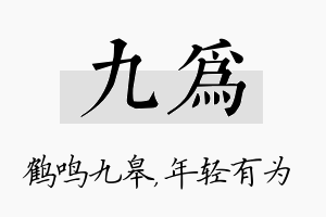 九为名字的寓意及含义