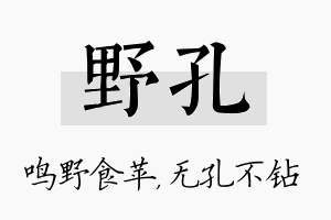 野孔名字的寓意及含义