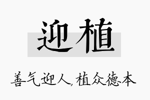 迎植名字的寓意及含义