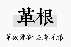 革根名字的寓意及含义