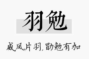 羽勉名字的寓意及含义