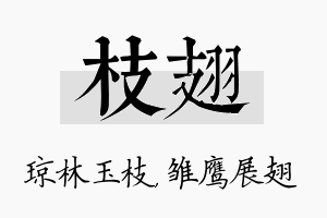 枝翅名字的寓意及含义