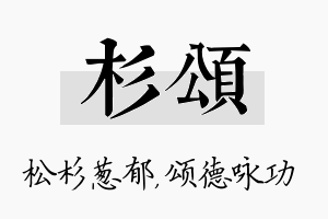 杉颂名字的寓意及含义