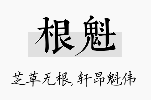 根魁名字的寓意及含义