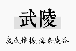 武陵名字的寓意及含义