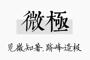 微极名字的寓意及含义