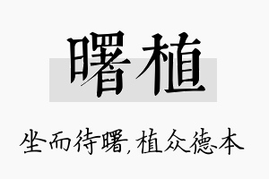 曙植名字的寓意及含义