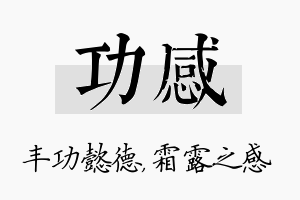 功感名字的寓意及含义