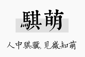 骐萌名字的寓意及含义