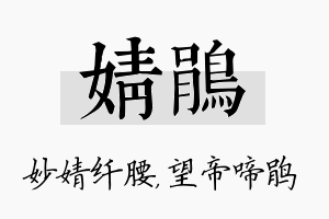 婧鹃名字的寓意及含义