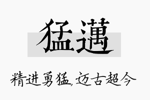 猛迈名字的寓意及含义