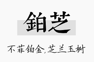 铂芝名字的寓意及含义