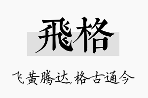 飞格名字的寓意及含义