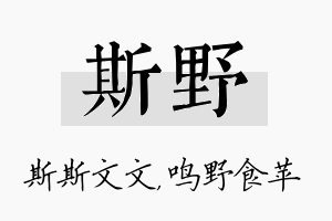 斯野名字的寓意及含义