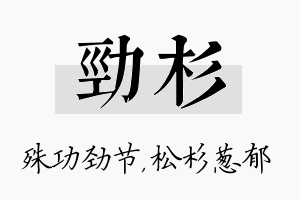 劲杉名字的寓意及含义