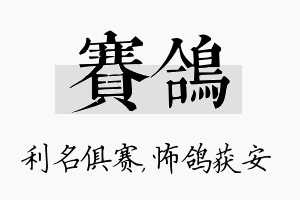 赛鸽名字的寓意及含义