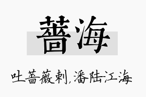 蔷海名字的寓意及含义